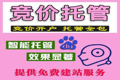 SEM托管服务助力企业实现快速转化案例